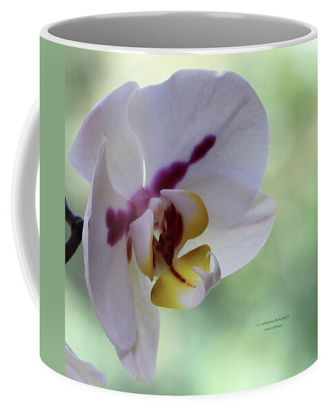 Orchid Coffee Mug featuring the photograph Orchid In Bloom by Jeanette C Landstrom