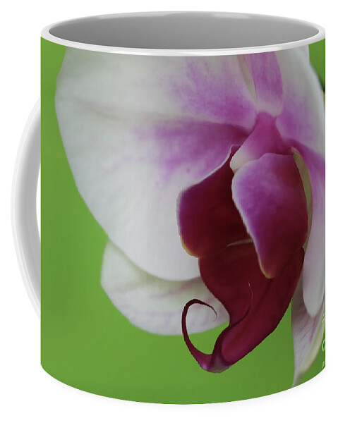 Orchid Coffee Mug featuring the photograph Orchid On Green by Deborah Benoit