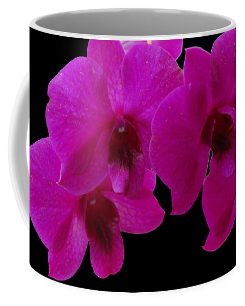 Orchid Coffee Mug featuring the photograph Orchid Song by Aimee L Maher ALM GALLERY
