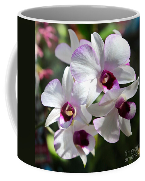 Orchid Coffee Mug featuring the photograph Orchid Square 2 by Carol Groenen