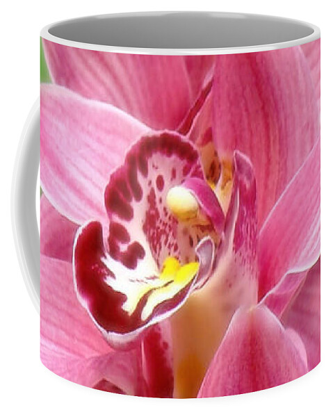 Orchids Coffee Mug featuring the photograph Orchid Twins Up Close by Sue Melvin
