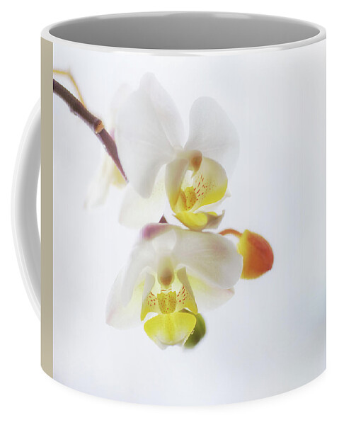 Orchid Coffee Mug featuring the photograph Orchid Zen by Sue Capuano