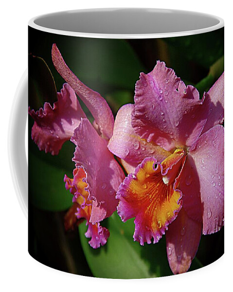 Lavender Orchids Coffee Mug featuring the photograph Orchids 3 by Karen McKenzie McAdoo