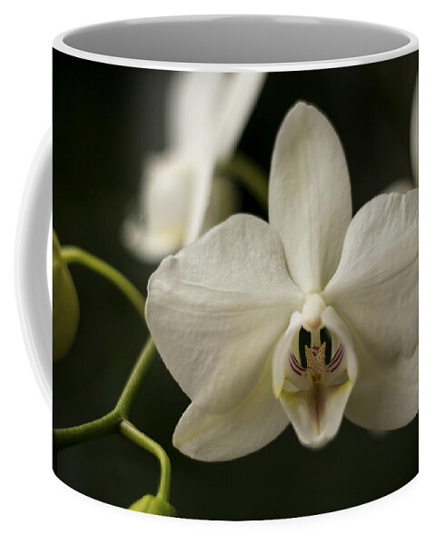 Orchid Coffee Mug featuring the photograph Orchids by Holly Ross