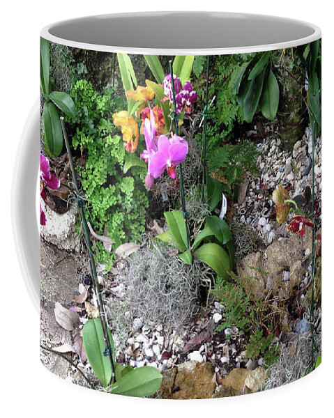 Orchids Coffee Mug featuring the photograph Orchids in Bloom by Susan Grunin