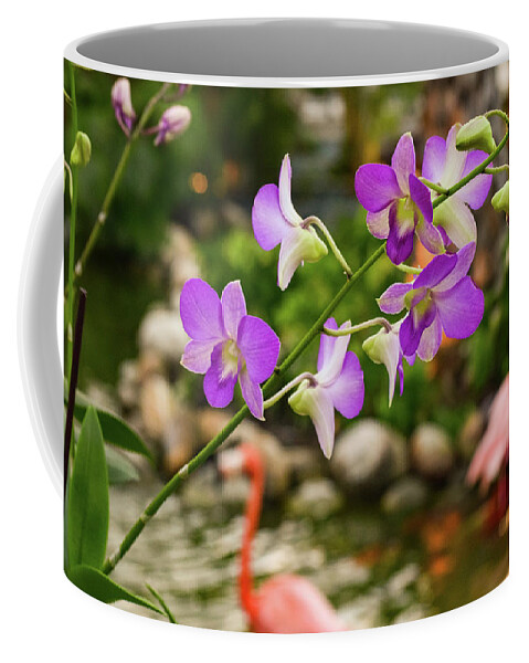 Orchid Coffee Mug featuring the photograph Orchids in Paradise by Nicole Lloyd