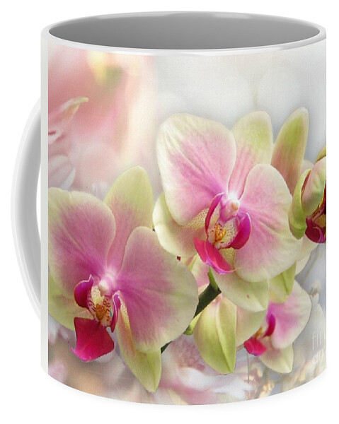 Orchids Coffee Mug featuring the photograph Pretty Orchid by Morag Bates