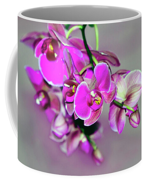 Beautiful Coffee Mug featuring the photograph Orchids On Gray by Ann Bridges