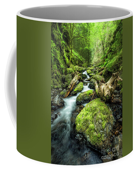  Oregon Coffee Mug featuring the photograph Oregon Stream 1 by Timothy Hacker