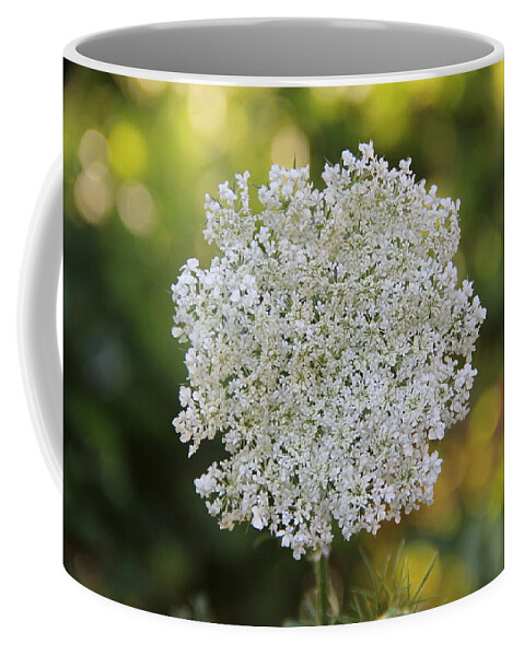 Flower Coffee Mug featuring the photograph Queen Anne's Lace by Allen Nice-Webb