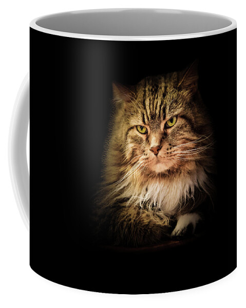 Cat Coffee Mug featuring the photograph Oscar on Black by Joni Eskridge
