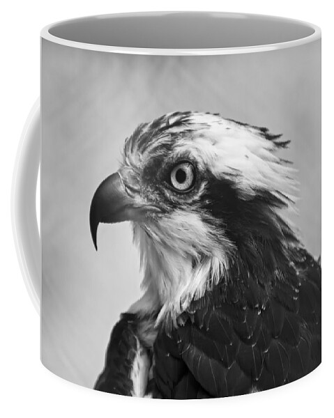 Osprey Coffee Mug featuring the photograph Osprey monochrome portrait by Flees Photos