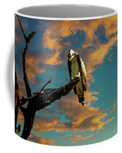 Birds. Nature Coffee Mug featuring the photograph Osprey On Watch by Rick Redman