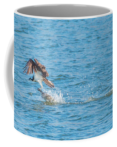 20170318 Coffee Mug featuring the photograph Osprey Pickup Line by Jeff at JSJ Photography