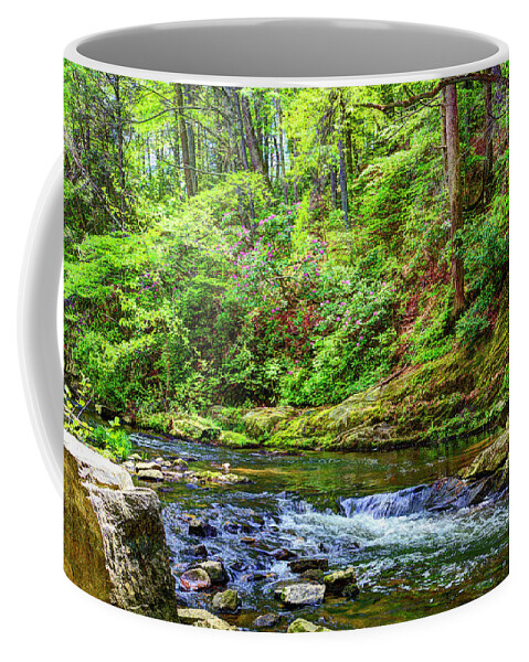 Otter Creek Coffee Mug featuring the photograph Otter Creek by Dale R Carlson