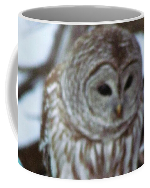 Owl Coffee Mug featuring the photograph Our Own Owl by Betty Pieper