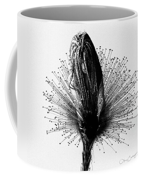 Drawing Coffee Mug featuring the digital art Out on a Limb by Looking Glass Images