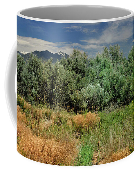 Landscape Coffee Mug featuring the photograph Out On The Mesa 1 by Ron Cline