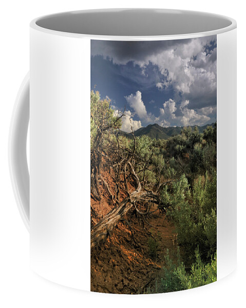 Landscape Coffee Mug featuring the photograph Out On The Mesa 2 by Ron Cline