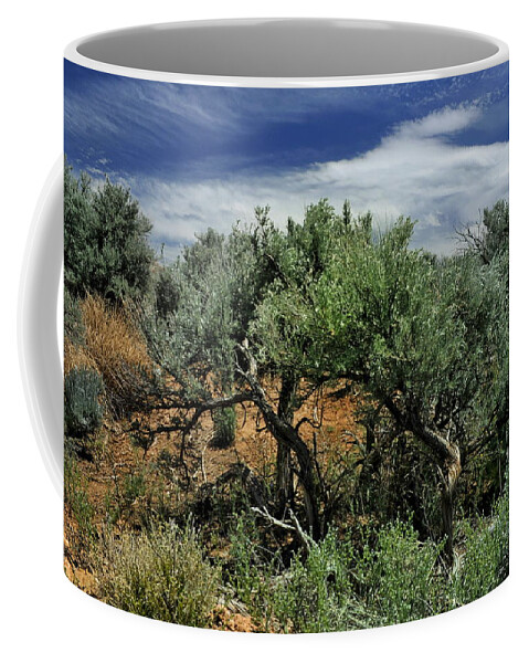 Landscape Coffee Mug featuring the photograph Out On The Mesa 3 by Ron Cline