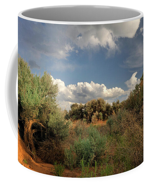 Landscape Coffee Mug featuring the photograph Out On The Mesa 4 by Ron Cline