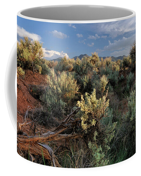 Landscape Coffee Mug featuring the photograph Out On The Mesa 7 by Ron Cline