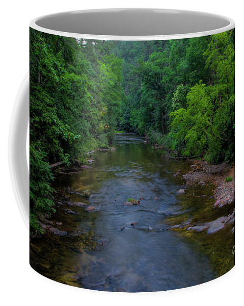 Overflow Creek Coffee Mug featuring the photograph Overflow Creek by Barbara Bowen