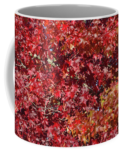 Red Leaves Coffee Mug featuring the photograph Overpopulation by Donna Blackhall
