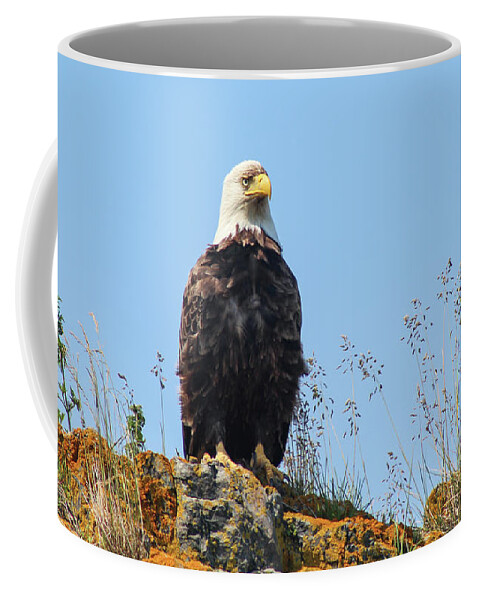 Eagle Coffee Mug featuring the photograph Overseer by Holly Ross