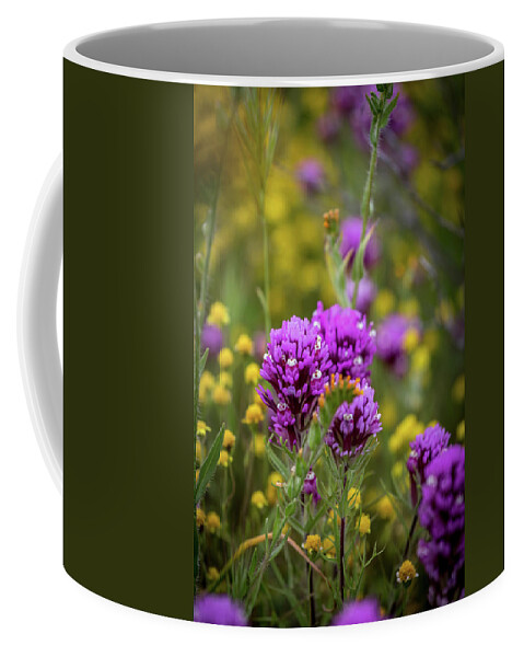 Blm Coffee Mug featuring the photograph Owl's Clover by Peter Tellone