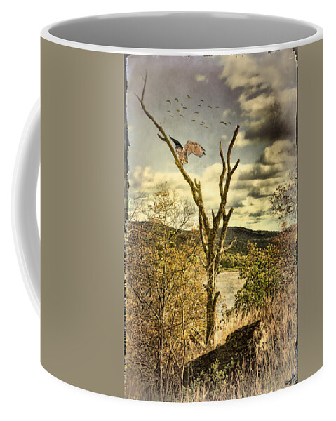 Owl Coffee Mug featuring the photograph Owls Roost by Chris Lord