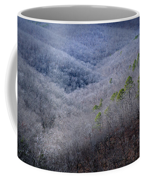 Autumn Coffee Mug featuring the photograph Ozarks Trees #4 by David Chasey