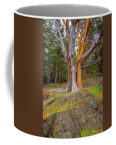 Oregon Coast Coffee Mug featuring the photograph Pacific Madrone Tree by Tom Singleton