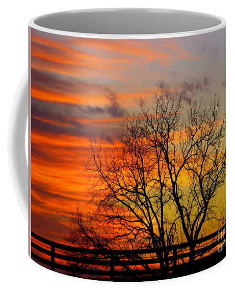Sunset Coffee Mug featuring the photograph Painted by the Sun by Donald C Morgan