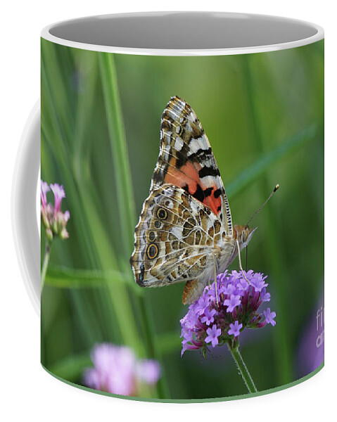 Painted Lady Coffee Mug featuring the photograph Painted Lady Butterfly on Verbena by Robert E Alter Reflections of Infinity