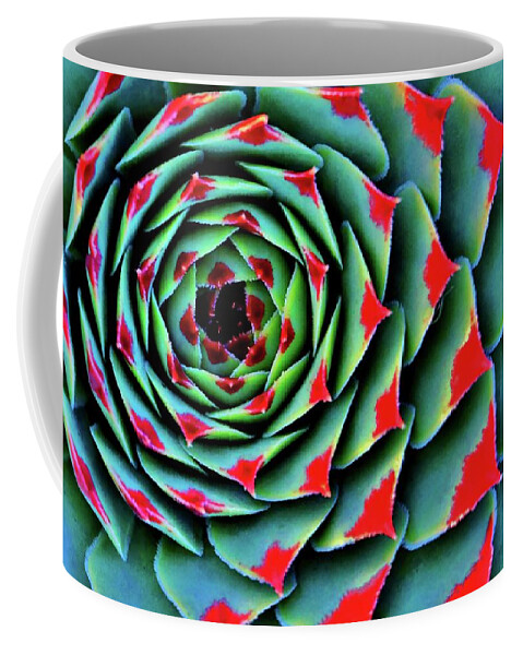Red Tipped Succulent Coffee Mug featuring the photograph Painted Lady In Red by William Rockwell