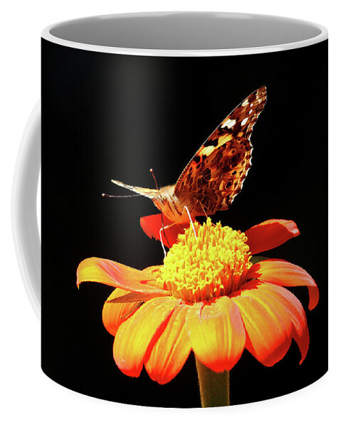 Painted Lady Coffee Mug featuring the photograph Painted Lady On Mexican Sunflower by Debbie Oppermann