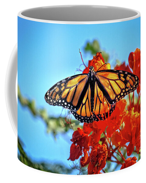 Butterfly Coffee Mug featuring the photograph Painted Lady by Robert Bales