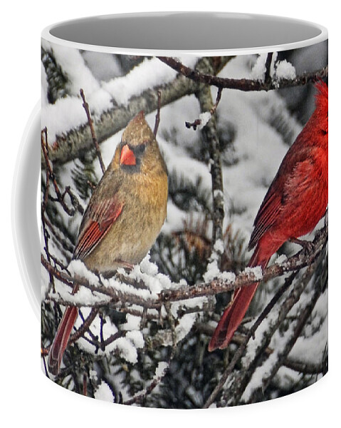 Cardinals Coffee Mug featuring the photograph Pair of Cardinals in Winter by Peg Runyan