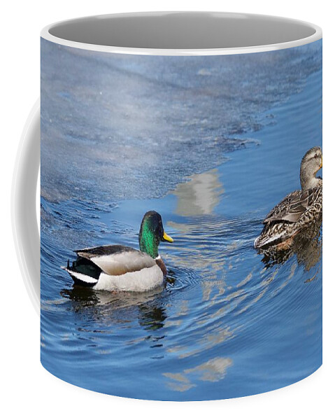 Duck Coffee Mug featuring the photograph Pair of Mallard Ducks inThunder Bay by Michael Peychich