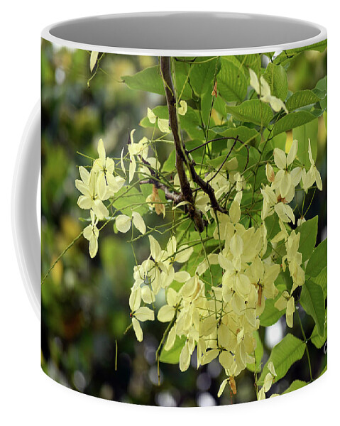 Flowers Coffee Mug featuring the photograph Pale and Delicate by William Tasker