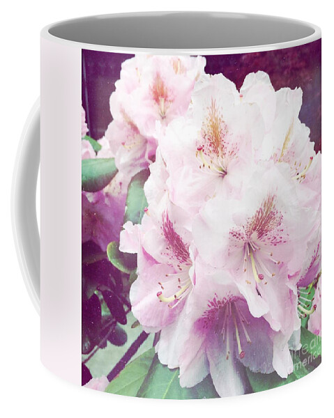 Pink Coffee Mug featuring the photograph Pale Beauty by Onedayoneimage Photography