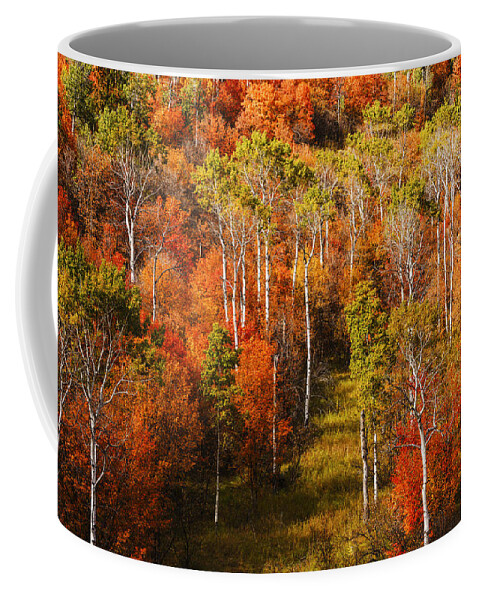 Autumn Coffee Mug featuring the photograph Palisades Autumn Glory in Swan Valley Idaho by Vishwanath Bhat