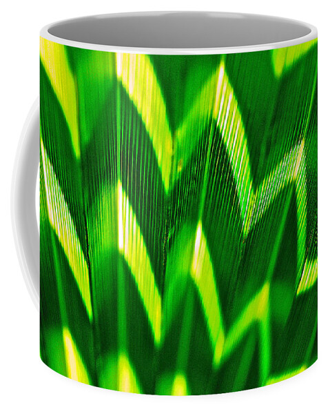 Palm Leaf Coffee Mug featuring the photograph Palm Abstract by Michael Cinnamond