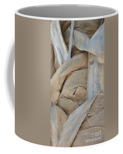 Palm Trunk Pattern Texture Coffee Mug featuring the photograph Palm Series 1-2 by J Doyne Miller