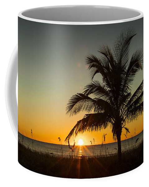 Palm Coffee Mug featuring the photograph Palm Sunset by Sean Allen