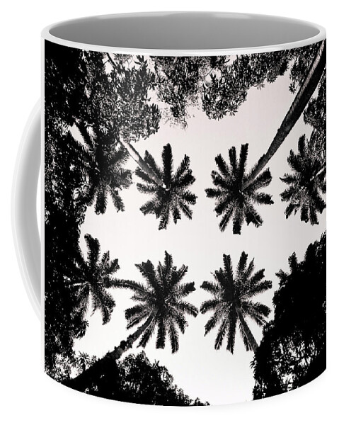 Tree Coffee Mug featuring the photograph Palm tree by Cesar Vieira