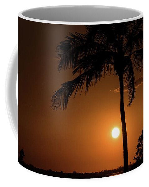 Sunset Coffee Mug featuring the photograph Palm Tree Silhouette by Janice Adomeit