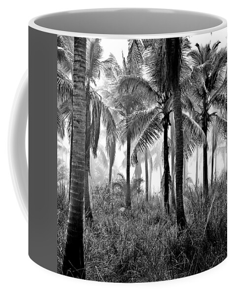 Palm Trees Coffee Mug featuring the photograph Palm Trees - Black and White by Marianna Mills
