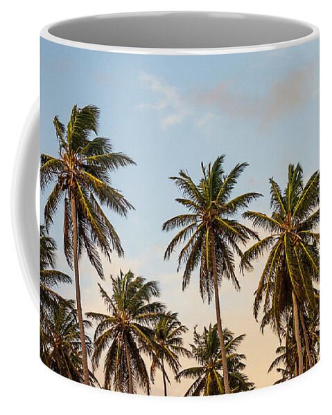Palms Coffee Mug featuring the photograph Palms by Newwwman